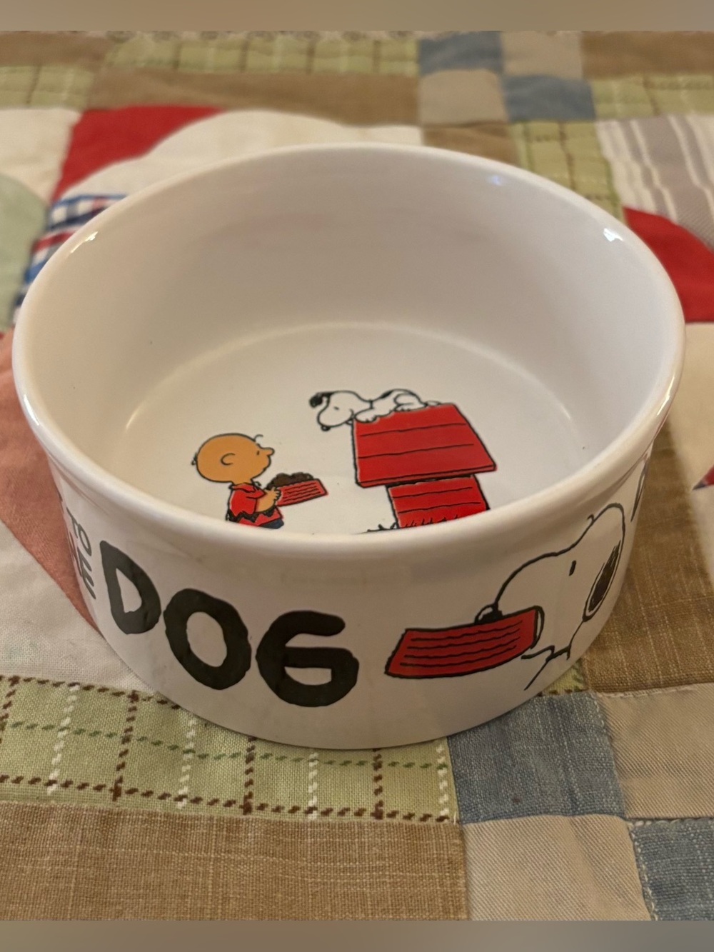 Peanuts Snoopy & Charlie Brown Don’t Forget To Feed the Dog Food Dish 4 5/8”D